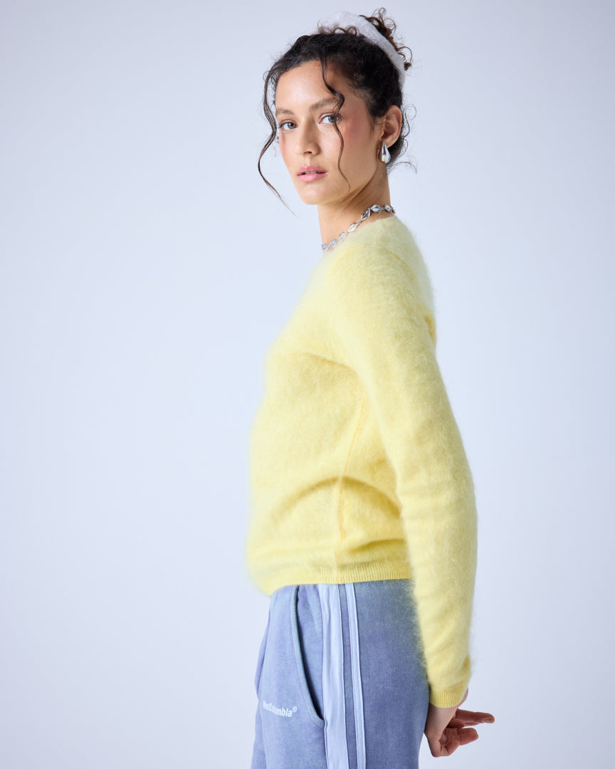ABSOLUT CASHMERE TRUI CLARENCE GEEL - 2